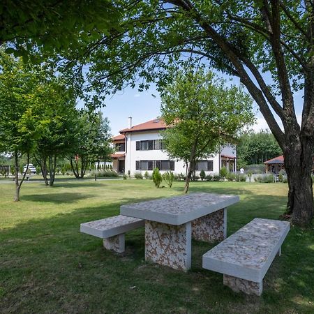 Pensiunea Negoiu 포룸바쿠 데 수스 외부 사진
